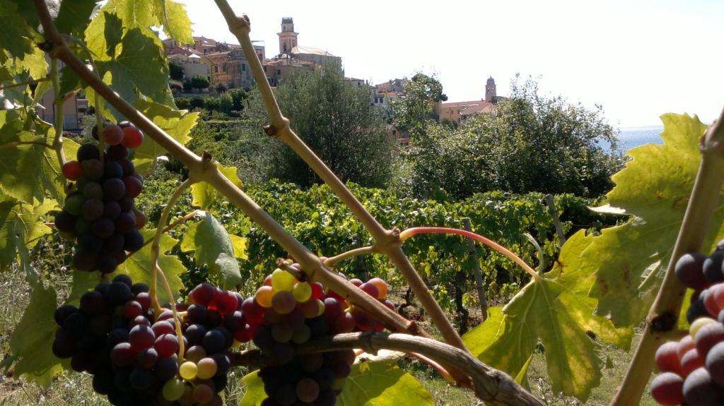 B&B Ca' De Pippu Diano Castello Eksteriør billede