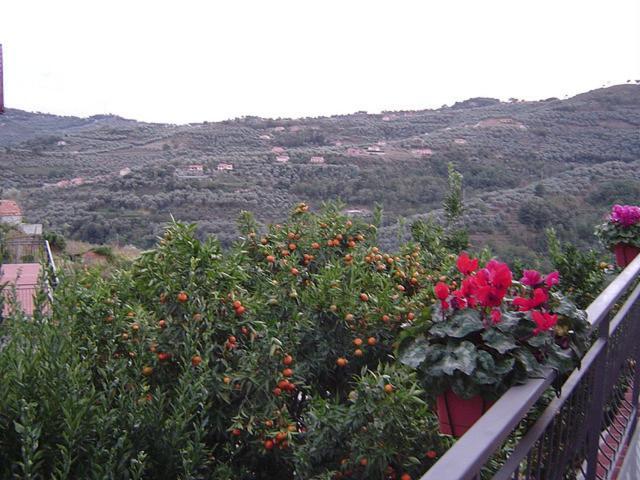 B&B Ca' De Pippu Diano Castello Eksteriør billede